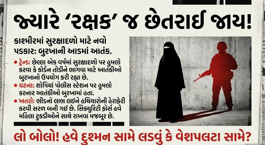 ક્રિમિનલ્સ પેરેડાઈઝ : કાચ પર કાળી ફિલ્મ 'ક્રાઈમ', તો બુરખા હેઠળની ઓળખ કેમ 'પ્રાઇવેટ' ? 57 3 10