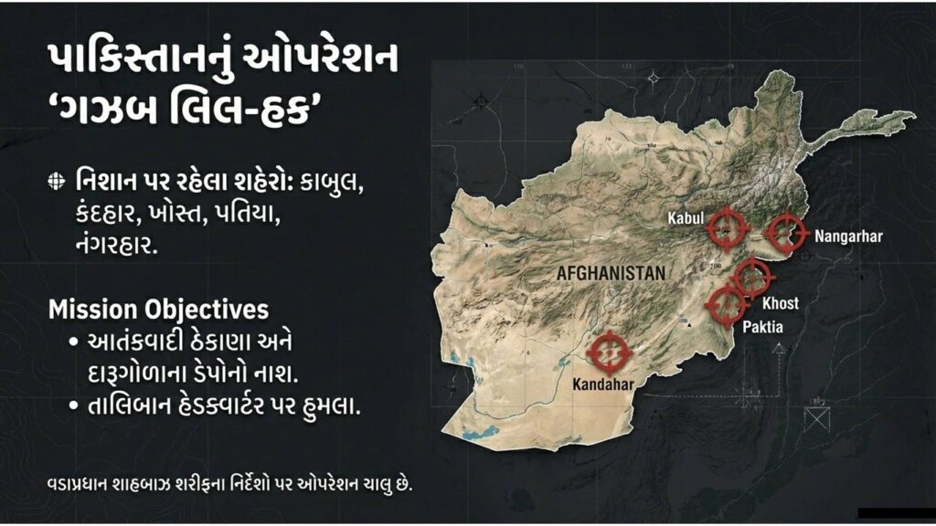 પાકિસ્તાન અફઘાનિસ્તાન યુદ્ધ