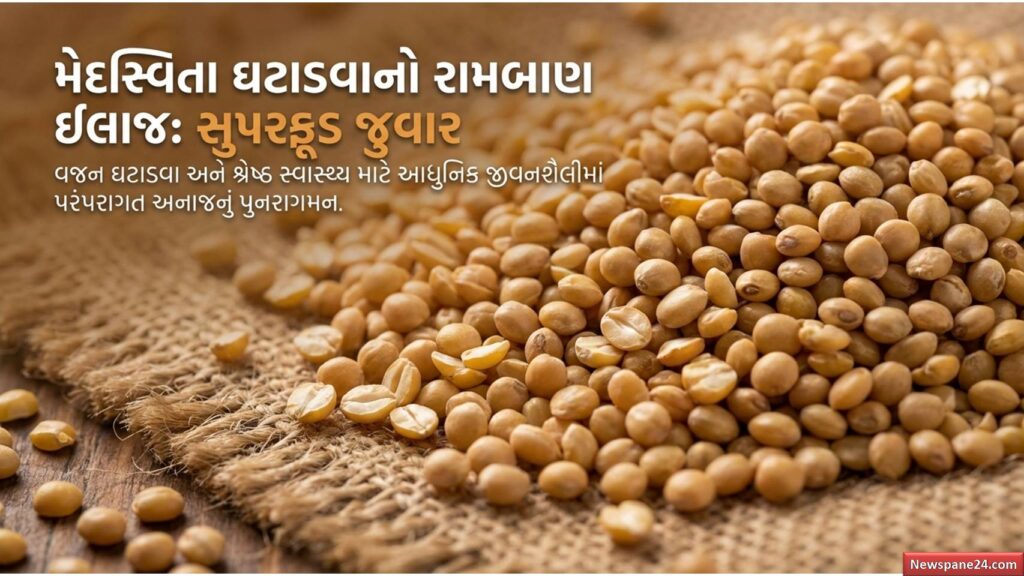 જુવાર : “વજન ઘટાડવું છે? તો આજે જ શરૂ કરો જુવાર” – ડૉક્ટરોની નવી સલાહે લોકોમાં વધાર્યો ક્રેઝ 41 જુવાર