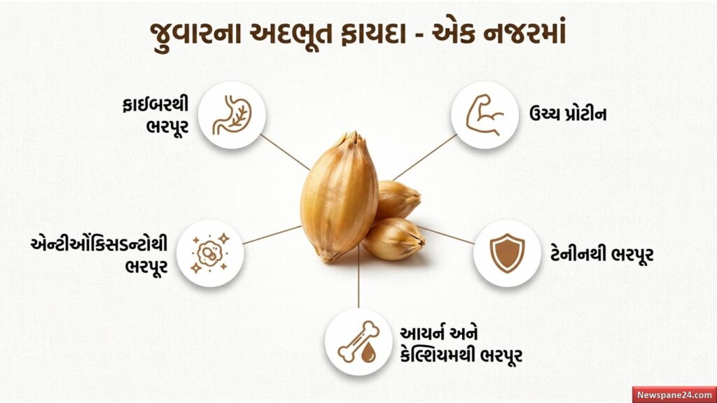 જુવાર : “વજન ઘટાડવું છે? તો આજે જ શરૂ કરો જુવાર” – ડૉક્ટરોની નવી સલાહે લોકોમાં વધાર્યો ક્રેઝ 52 જુવાર