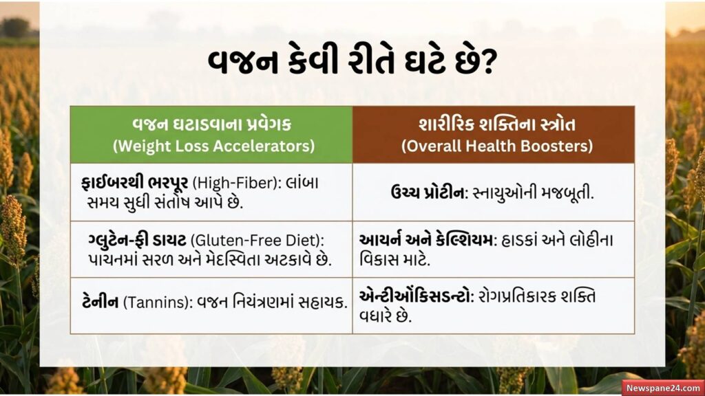 જુવાર : “વજન ઘટાડવું છે? તો આજે જ શરૂ કરો જુવાર” – ડૉક્ટરોની નવી સલાહે લોકોમાં વધાર્યો ક્રેઝ 53 જુવાર
