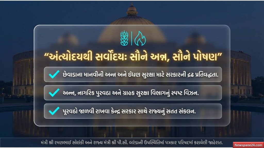 ગેસ ગ્રાહક : LPG કે PNG? જો તમે બંને કનેક્શન રાખો છો તો ચેતી જજો 58 ગેસ ગ્રાહક