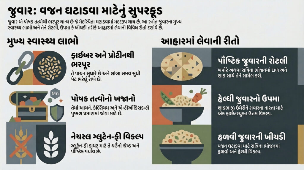 જુવાર : “વજન ઘટાડવું છે? તો આજે જ શરૂ કરો જુવાર” – ડૉક્ટરોની નવી સલાહે લોકોમાં વધાર્યો ક્રેઝ 56 જુવાર