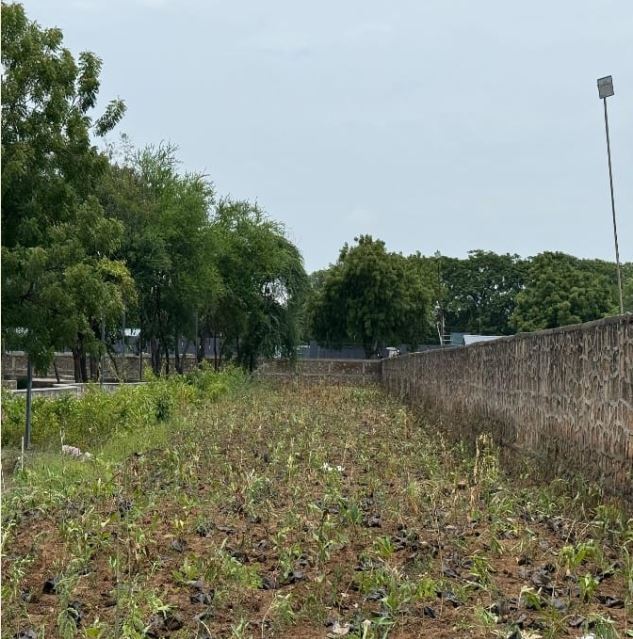 Green Ahmedabad