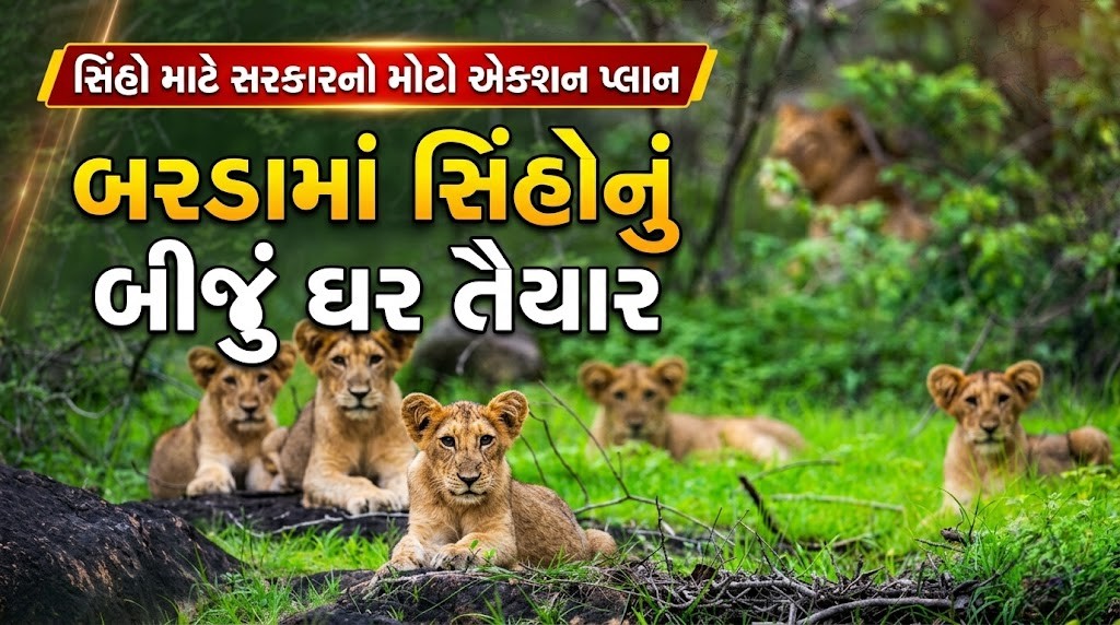 Porbandar : બરડા જંગલમાં સાવજનું સામ્રાજ્ય થશે મજબૂત: પોરબંદર વન વિભાગનું કરાયું ક્રાંતિકારી પુનર્ગઠન 41 Porbandar